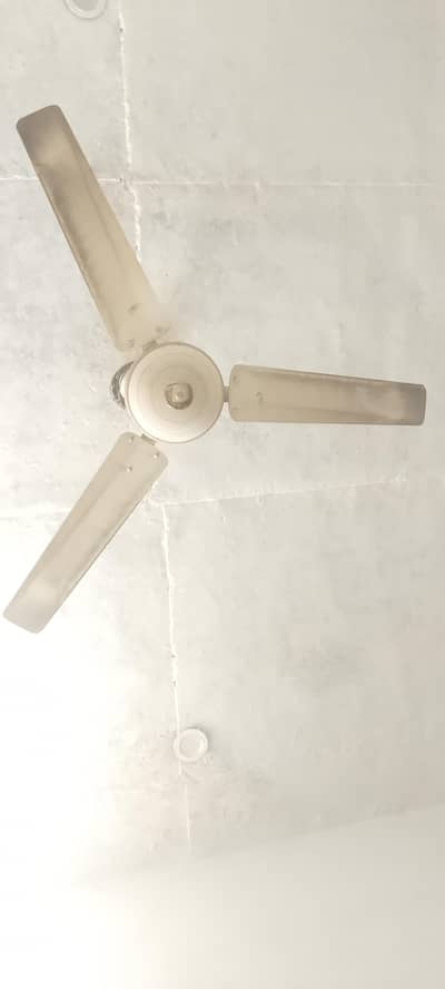 4 Seeling Fans