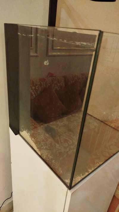 aquarium for sale