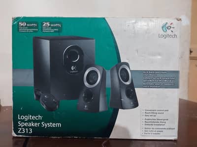 Logitech Z313