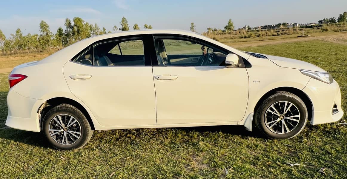 2015/16 model 11