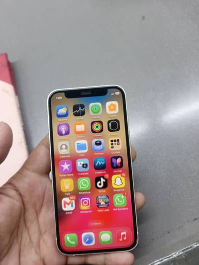 Apple iPhone 12 mini