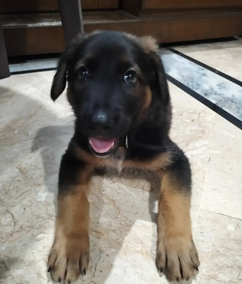 name max — photo 2
