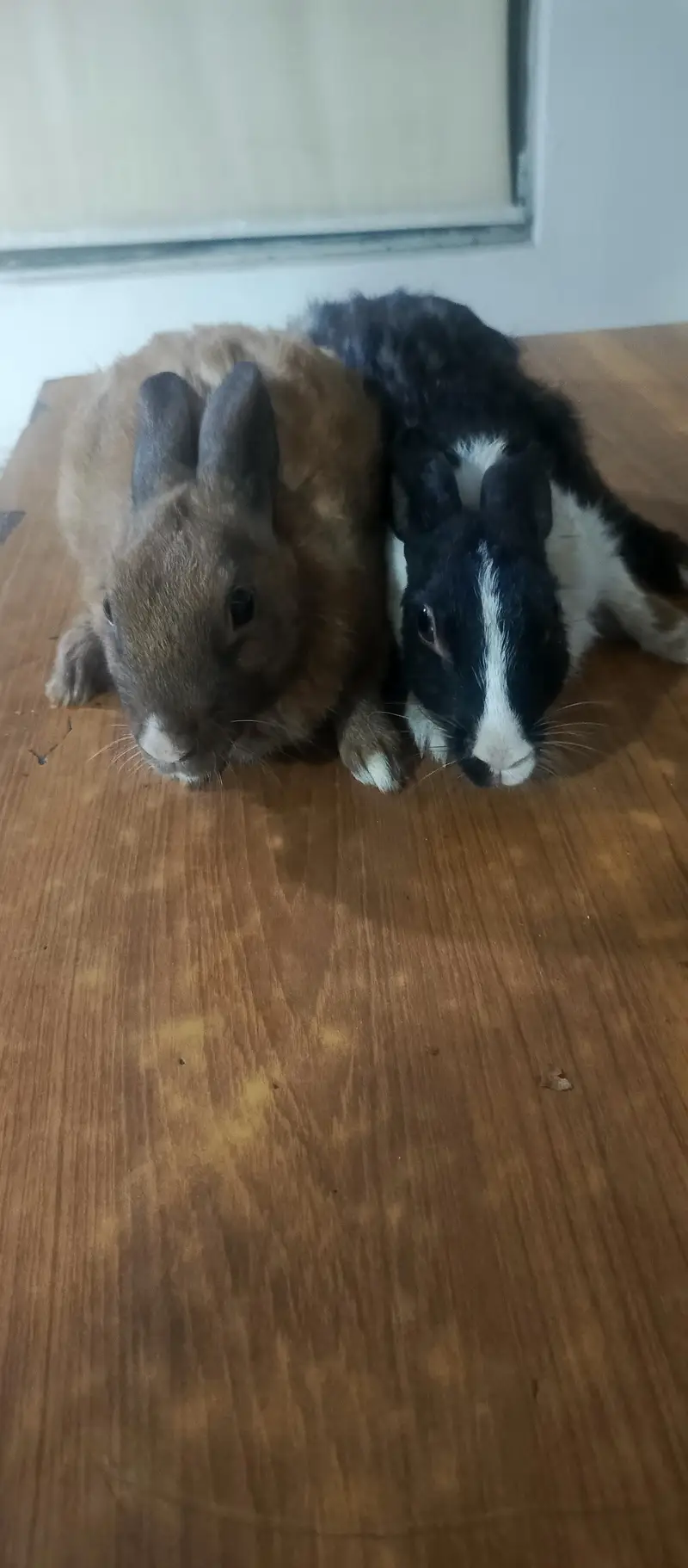 male and female — photo 3