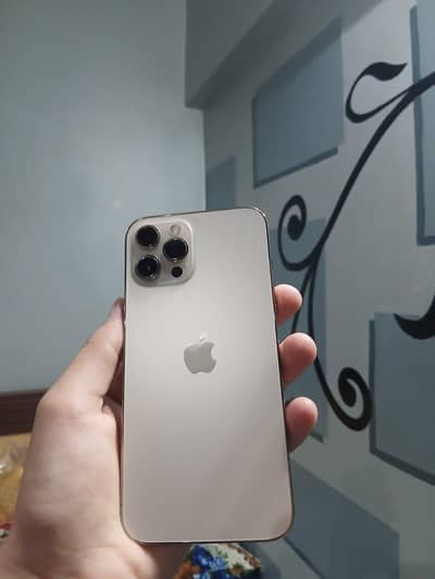 Apple iPhone 12 Pro Max