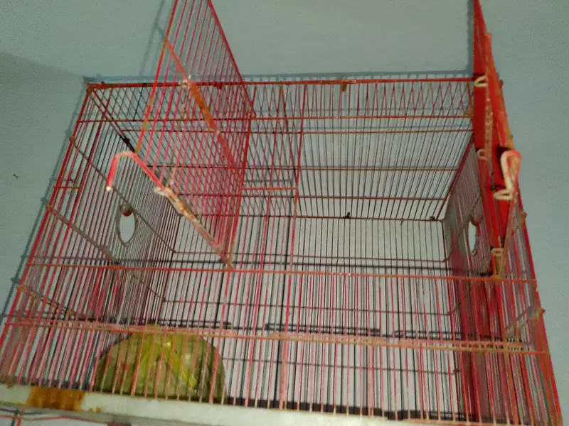 Cage For sale — photo 2