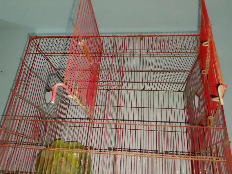 Cage For sale — photo 3