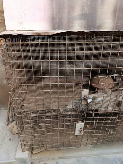 Hen Cage for sell