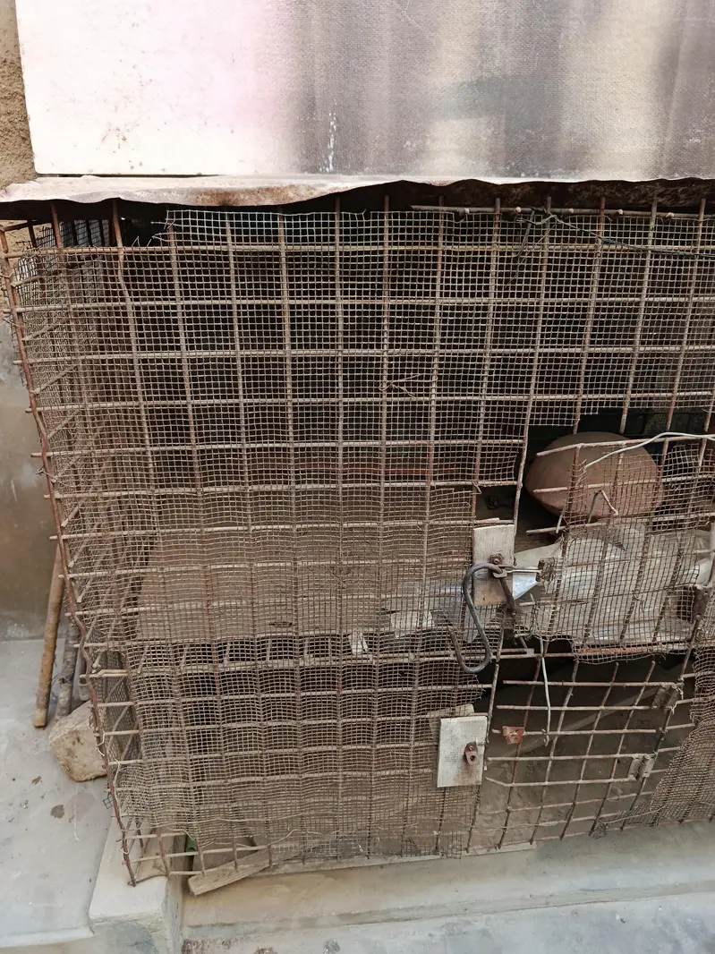 Hen Cage for sell