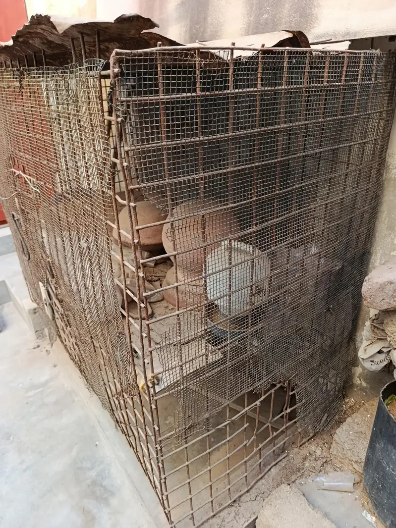 Hen Cage for sell — photo 3
