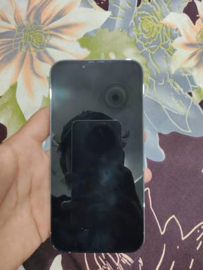 Apple iPhone 13 Pro