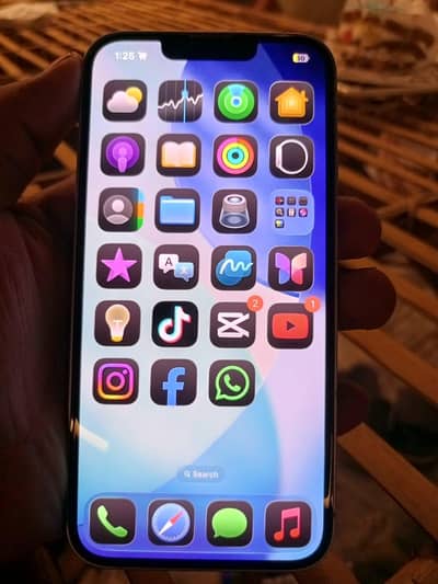 iPhone 14
