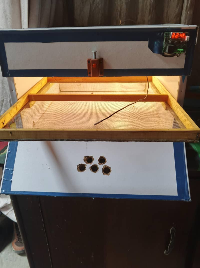 incubator 1