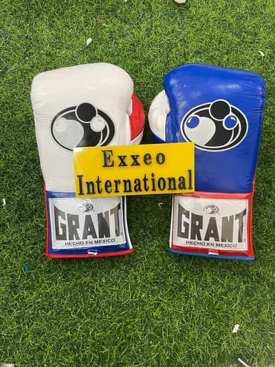 Boxing Gloves (Customizable)