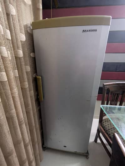 Panatron Upright Freezer 180 Liters