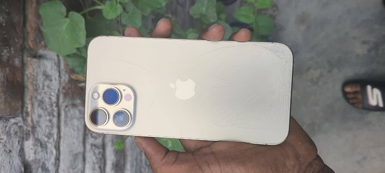 Apple iPhone 13 Pro Max 0