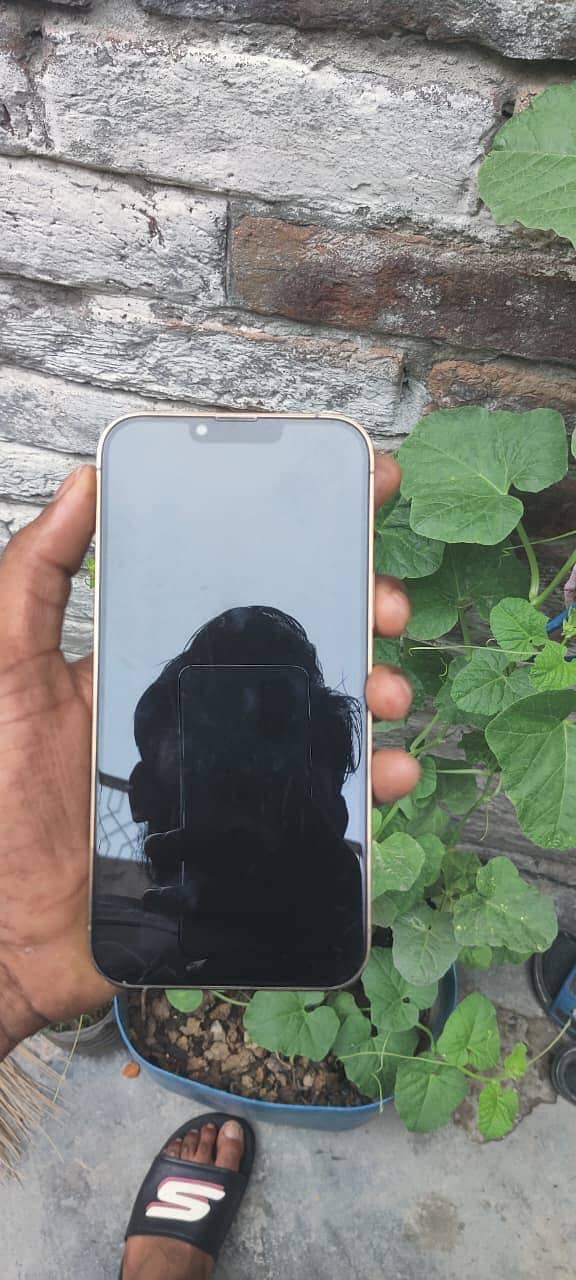 Apple iPhone 13 Pro Max 5
