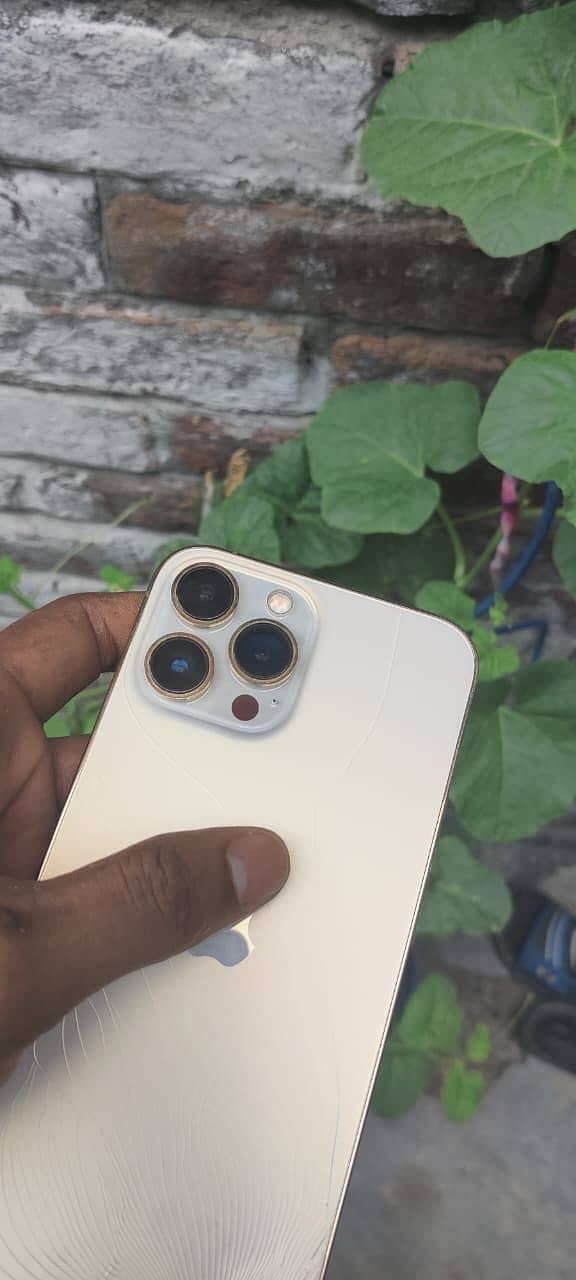 Apple iPhone 13 Pro Max 6