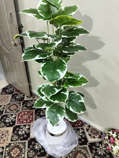 Artificial  plant 2*20bunch leaf