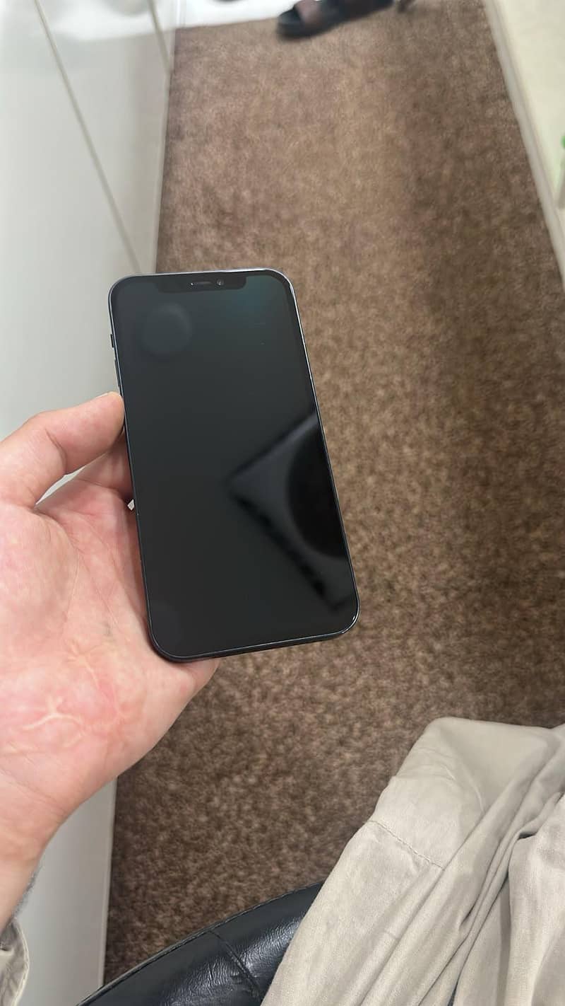 Apple iPhone 12 1