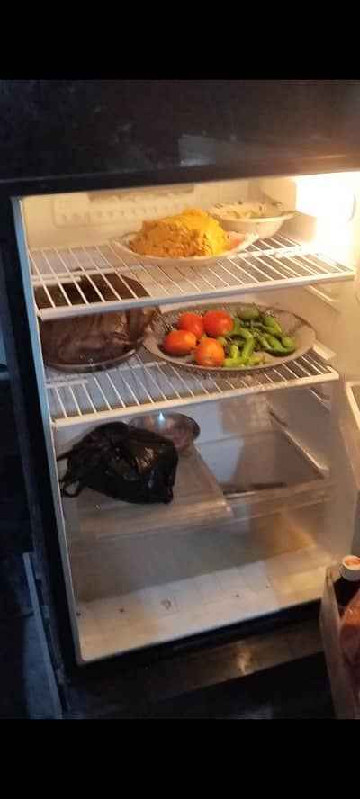 PEL fridge medium size