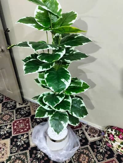 Artificial Big plants Size 6 feet