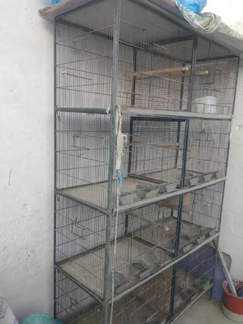 8 Portion Cage