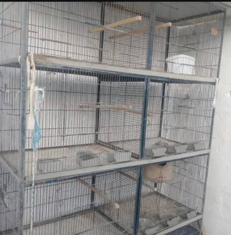 8 Portion Cage 1