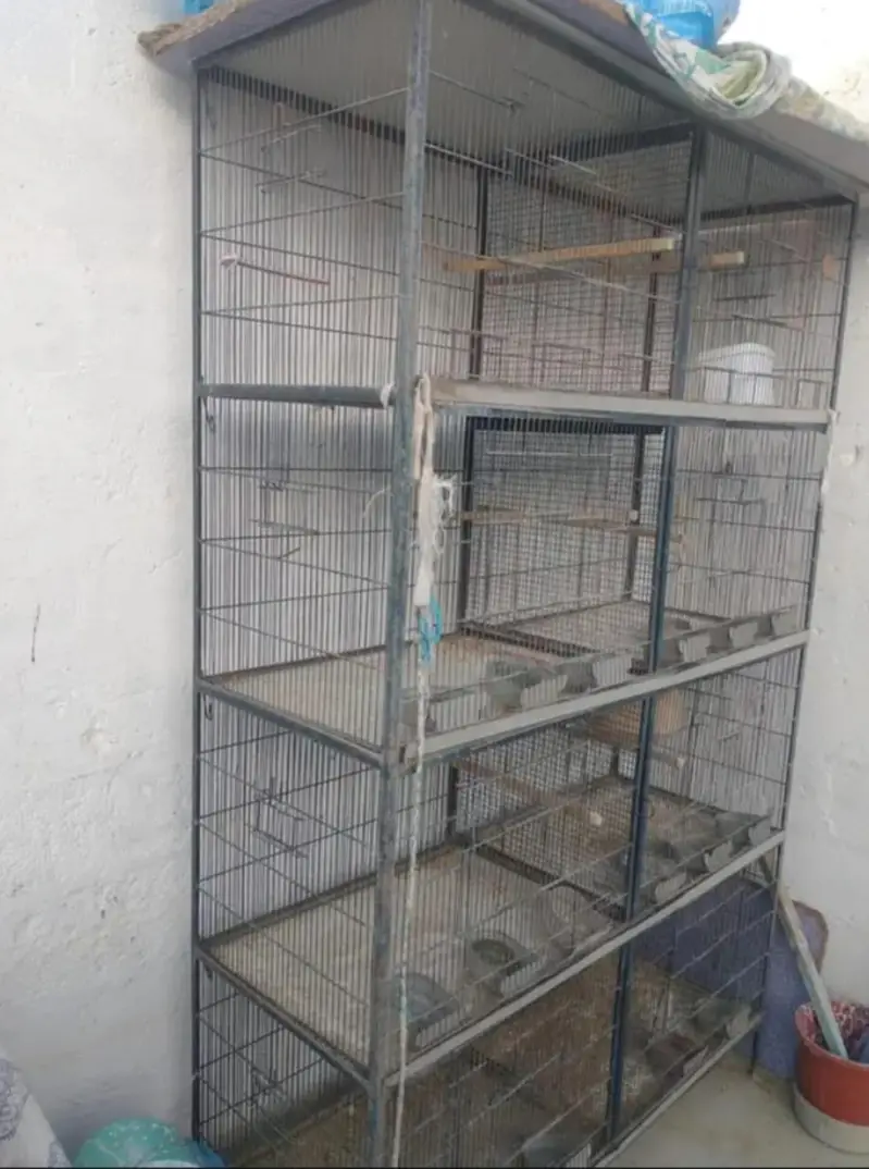8 Portion Cage — photo 4