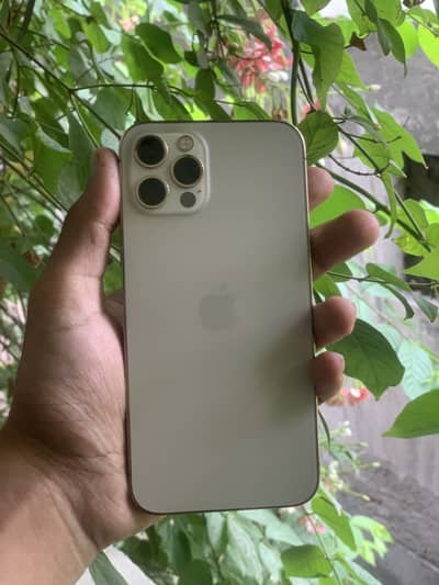 Apple iPhone 12 Pro
