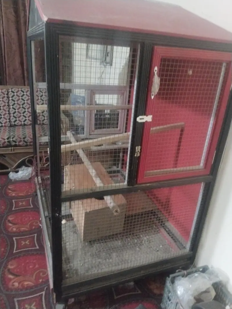 house shape cage — photo 2