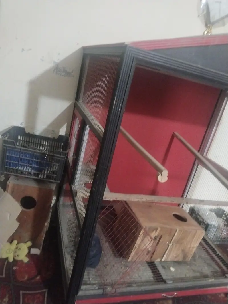 house shape cage — photo 3