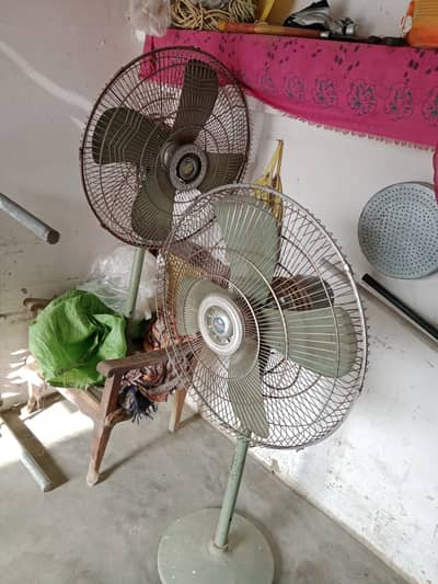 Pedestal fans