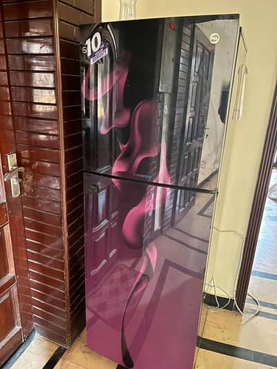 Pel Fridge For Sale