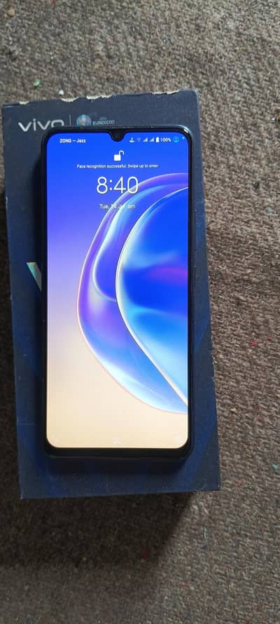 Vivo V21e 8+4