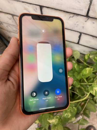 Iphone XR JV