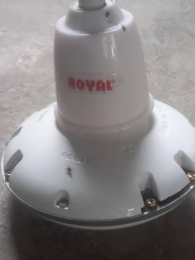 Royal fan
