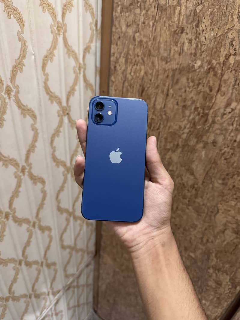 iPhone 12 1