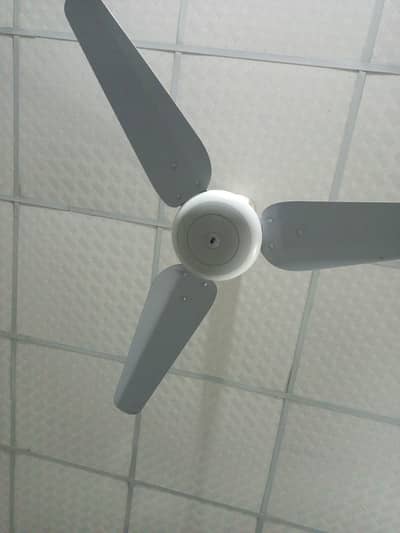 SK Fans for Sale Qty 22