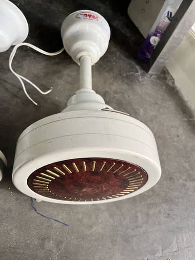 Royal ceiling fan