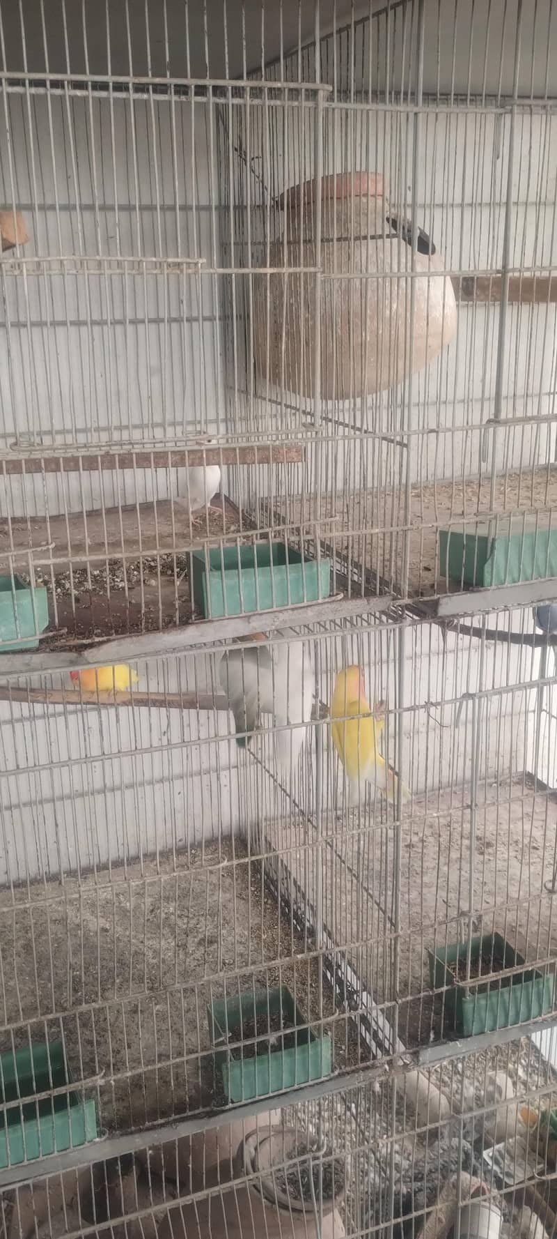 8 Portion Cage 0