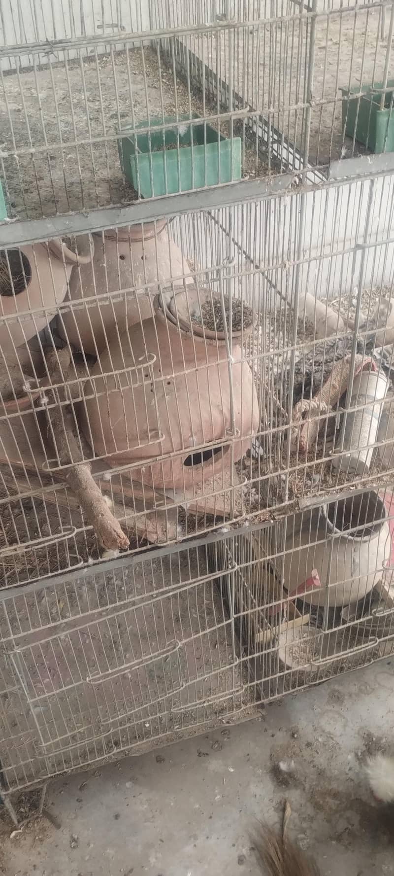 8 Portion Cage 1