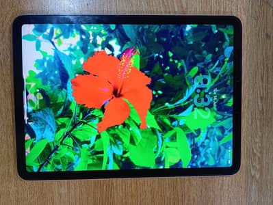 Ipad air 4th gen 256 gb