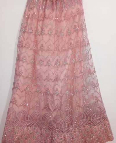 Brand new party wear lehnga choli set