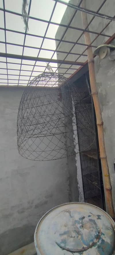 pinjra good condition 03234959716 total 5 pcs 4 single pcs 1 3 box