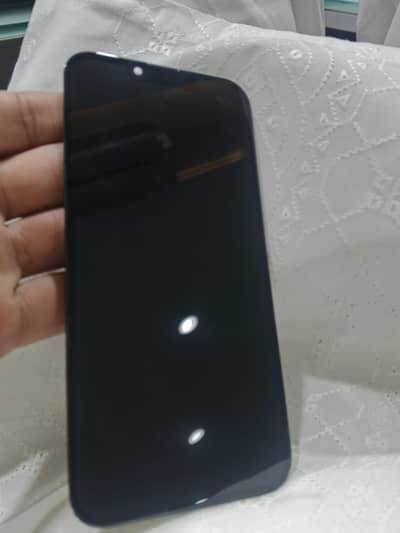 iPhone 13 pro Penal