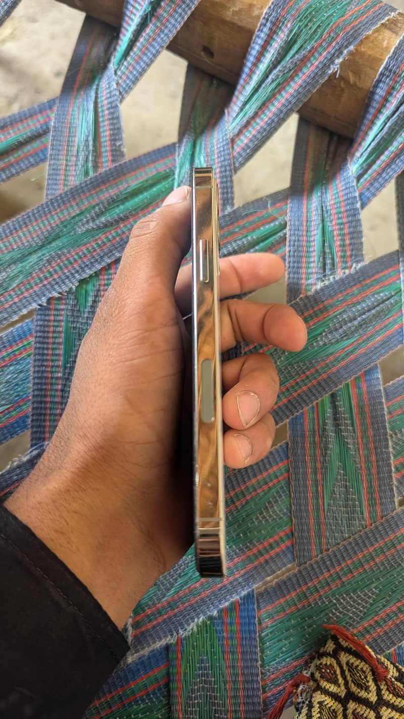 iphone 12 Pro 2