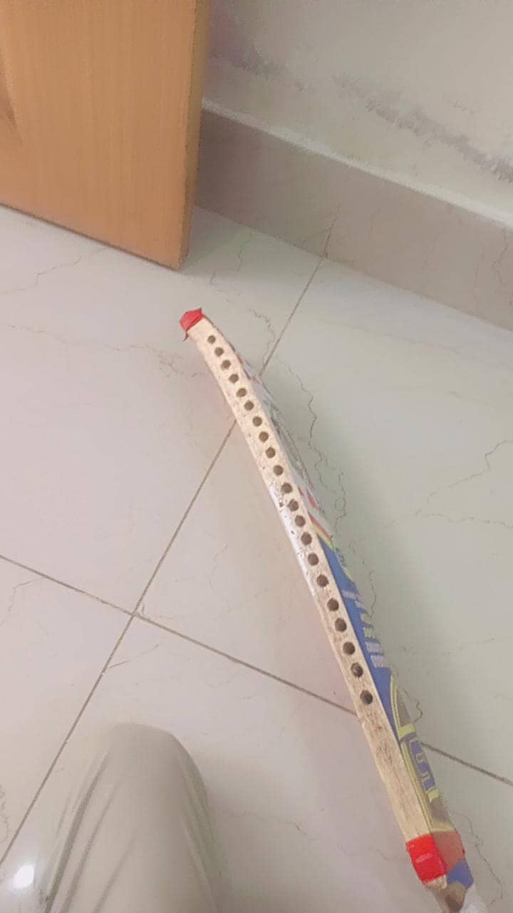 WS BAT 1