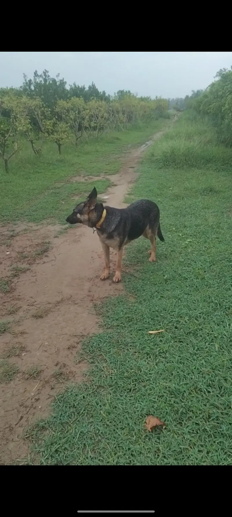 female confirm bareedr — photo 2