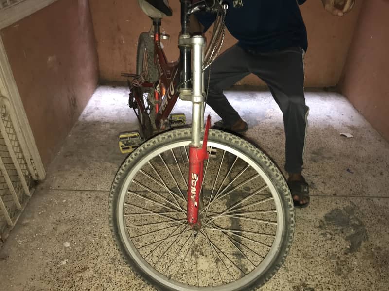 Cycle 2