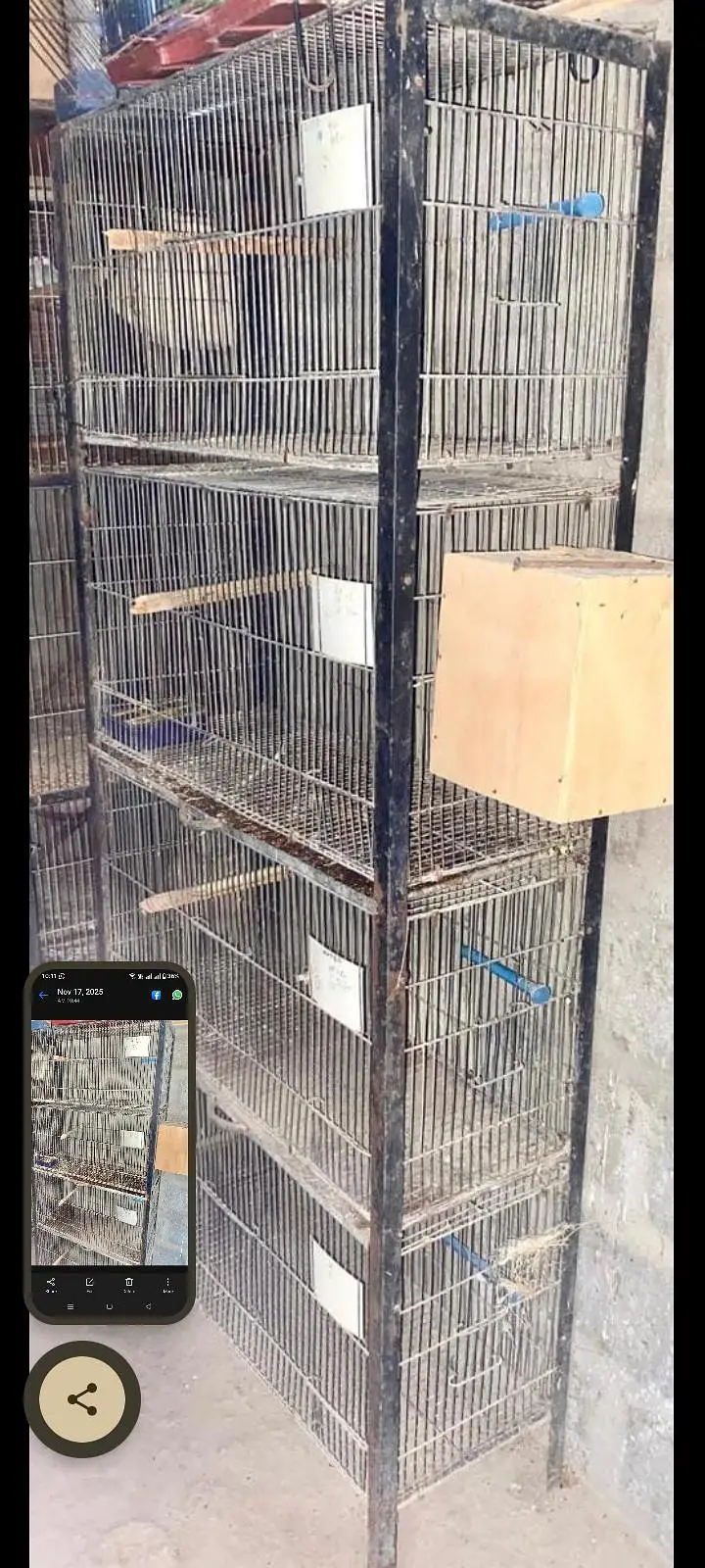 cages — photo 2